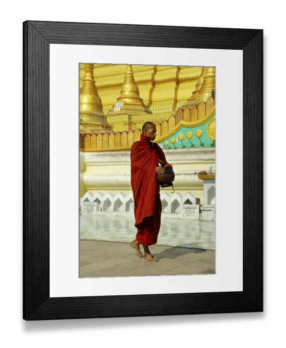 Framed Print : Buddhist monk in walking meditation at golden stupa of Shwemandaw Pagoda Bago Burma
