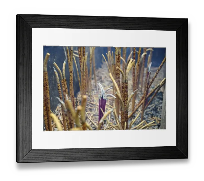 Framed Print : Joss sticks, China, Asia Framed Print : Joss sticks, China, Asia