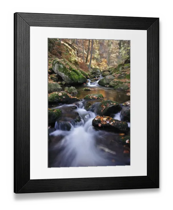 Framed Print : Ilse stream in the Ilsetal valley in autumn Framed Print : Ilse stream in the Ilsetal valley in autumn