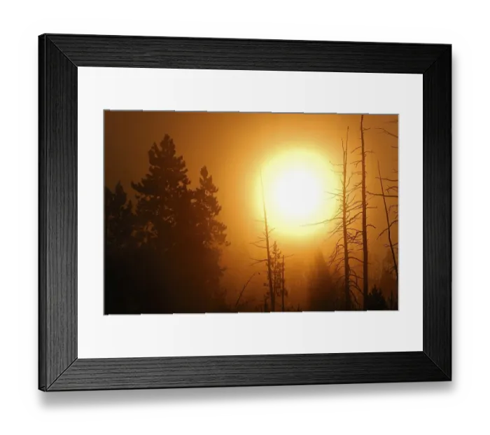 Framed Print : Sunrise and morning fog, Yellowstone National Park Framed Print : Sunrise and morning fog, Yellowstone National Park