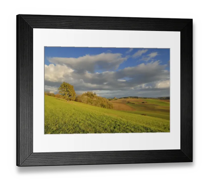 Framed Print : A view into the hegau landscape and the castle ruins on Maegdeberg in the background - Baden Wuerttemberg