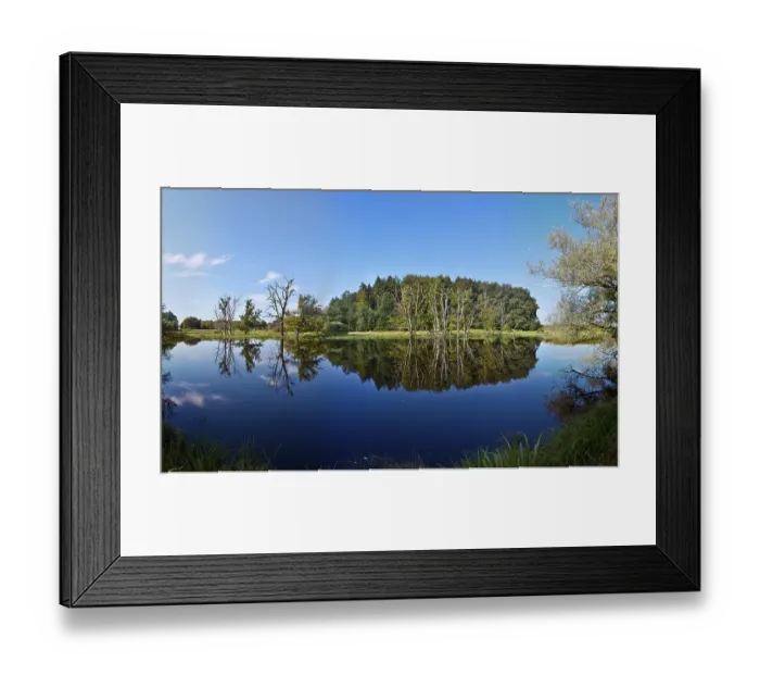 Framed Print : Seachtnmoor, moor, dead trees are reflected in the swamp