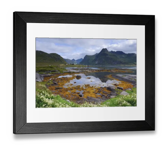 Framed Print : Landscape near Austvagoy, Lofoten