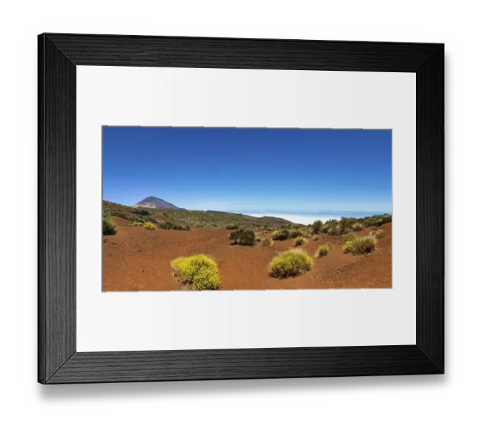 Framed Print : Landscape with vegetation typical of the Parque Nacional de las Canadas del Teide Framed Print : Landscape with vegetation typical of the Parque Nacional de las Canadas del Teide