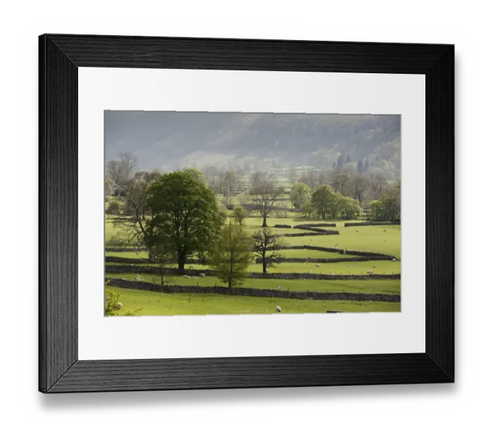 Framed Print : View of farmland with drystone walls Framed Print : View of farmland with drystone walls