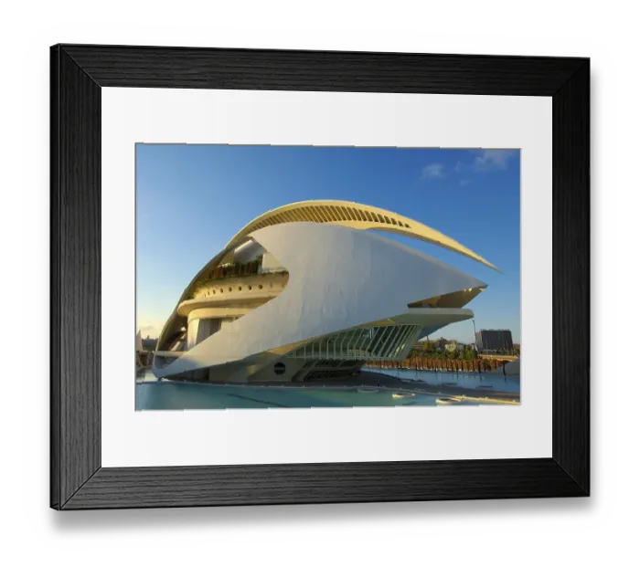 Framed Print : Palace of Arts Reina Sofia, by S