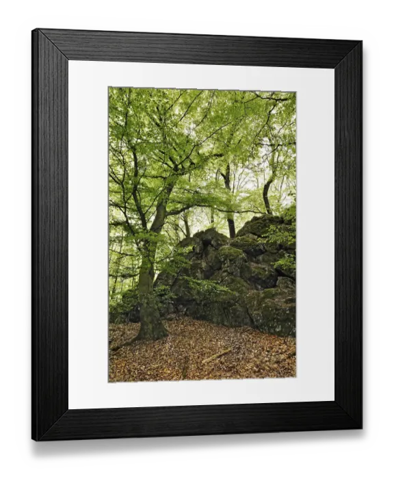 Framed Print : Boulder and Wiesbadener Stadtpark