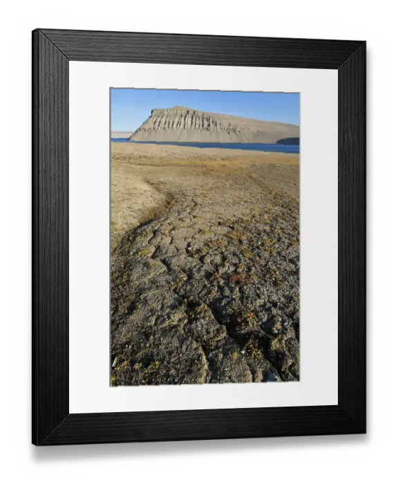 Framed Print : Permafrost and arctic tundra at Maxwell Bay