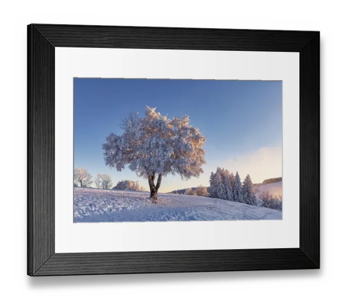 Framed Print : Winter landscape, Mont Saleve, Archamps