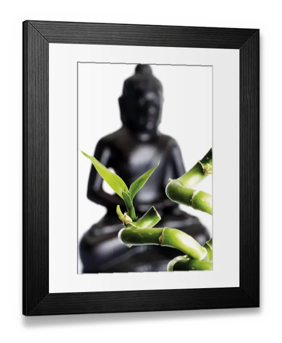 Framed Print : Lucky Bamboo (Dracaena sanderiana) in front of a black Buddha statue