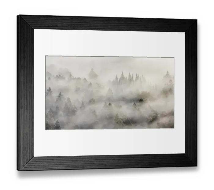 Framed Print : Palatinate forest in autumn, sunbeams shining through mist