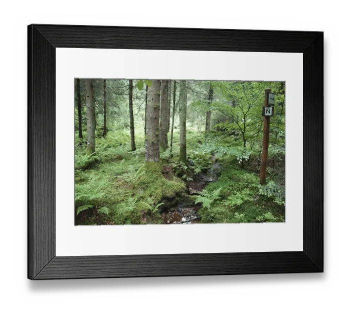 Framed Print : Horbacher Moor Urberg Dachsberg Suedschwarzwald Baden Wuerttemberg Germany