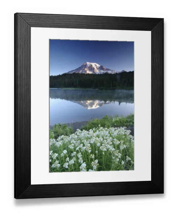Framed Print : Mount Rainier reflected in a lake
