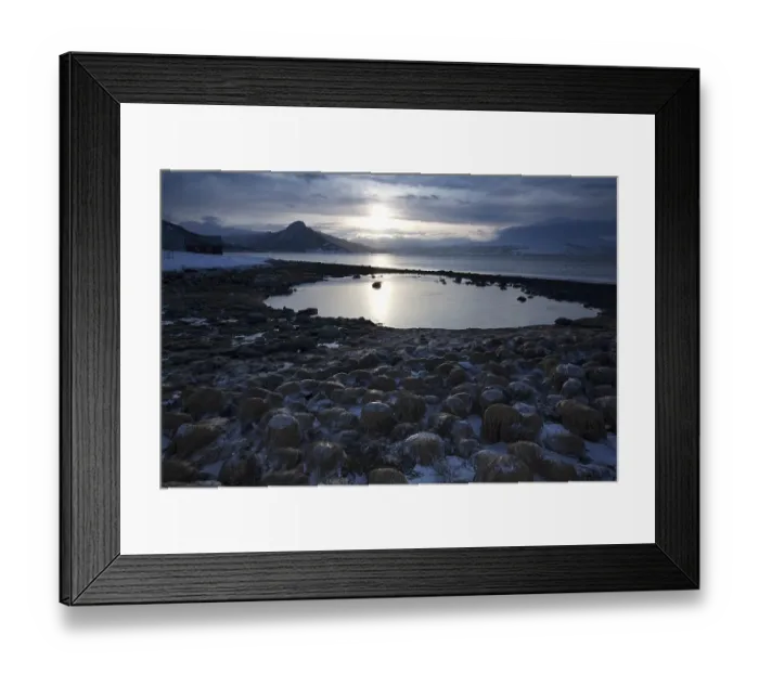 Framed Print : Balsfjord, Tromso, Tromsoe, Norway, Europe