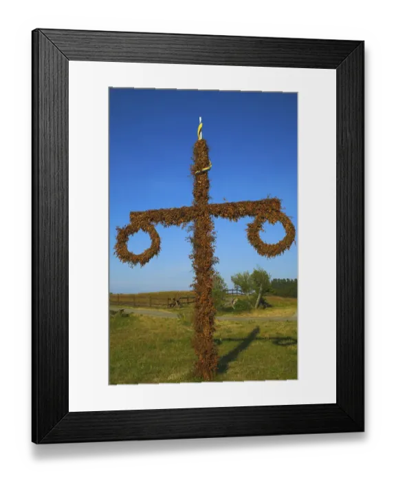 Framed Print : Midsummer Tree, Oland, Sweden, Europe Framed Print : Midsummer Tree, Oland, Sweden, Europe