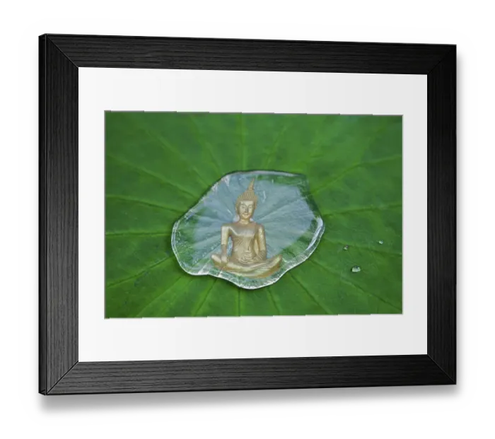 Framed Print : Buddha statue reflected in a drop of water on a lotus leaf Framed Print : Buddha statue reflected in a drop of water on a lotus leaf