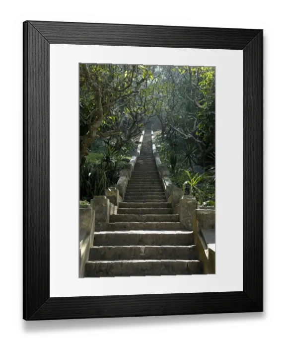 Framed Print : Steps leading from the jungle to the temple mount Phu Si