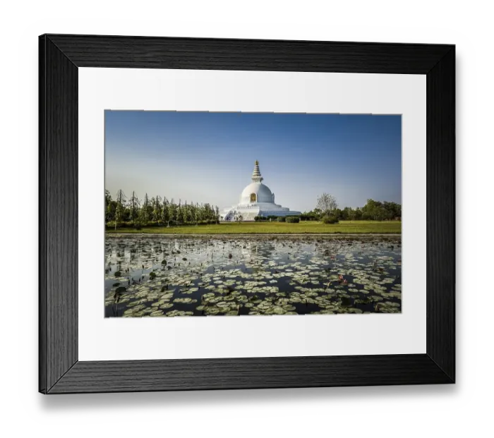 Framed Print : Japanese Peace Pagoda