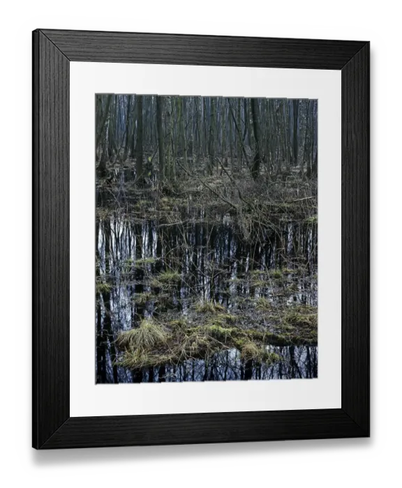 Framed Print : Moor near Schwerin, Mecklenburg-Western Pomerania