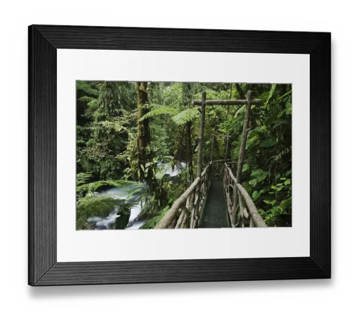 Framed Print : Trail in cloud forest, La Paz Waterfall Gardens