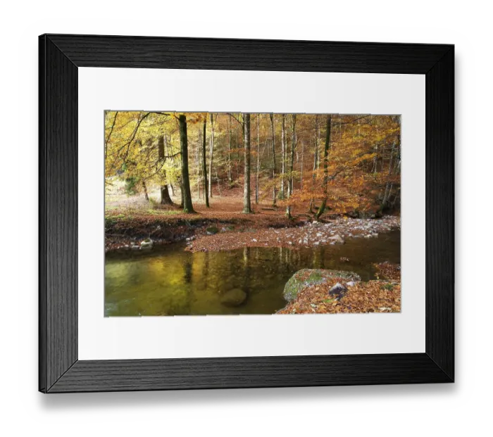 Framed Print : Nesslera stream running through an autumn forest in the Sense District or Sensebezirk in the Freiburg Canton