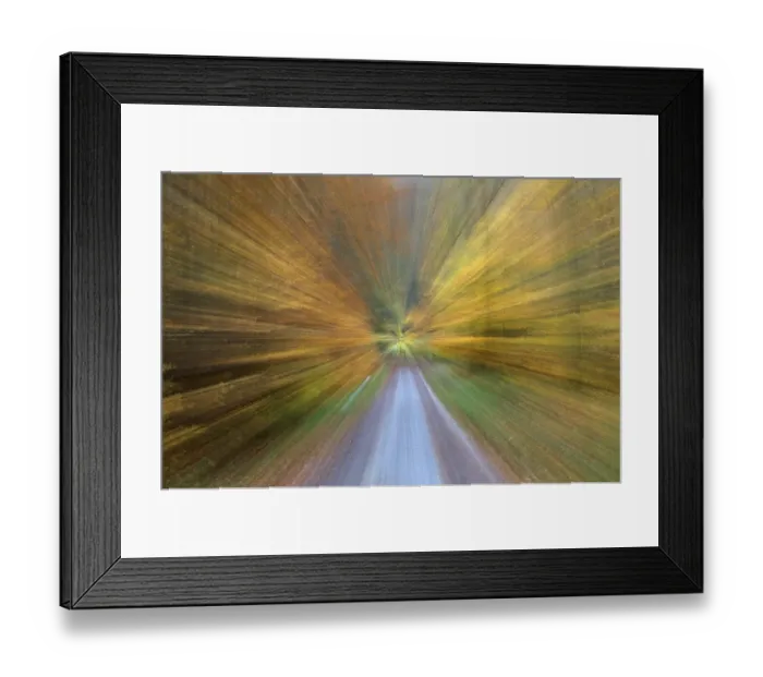 Framed Print : Blurred autumn forest Germany Framed Print : Blurred autumn forest Germany