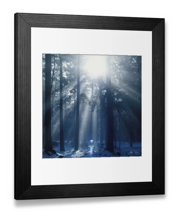 Framed Print : Sunbeam in misty spruce forest Germany Framed Print : Sunbeam in misty spruce forest Germany