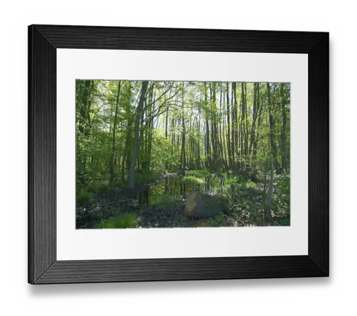 Framed Print : Brook