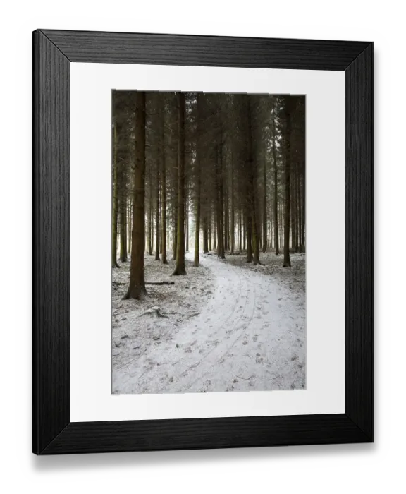 Framed Print : Wuerselener Forest in winter, near Aachen Framed Print : Wuerselener Forest in winter, near Aachen