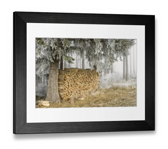 Framed Print : Woodpile with white frost under firs Framed Print : Woodpile with white frost under firs