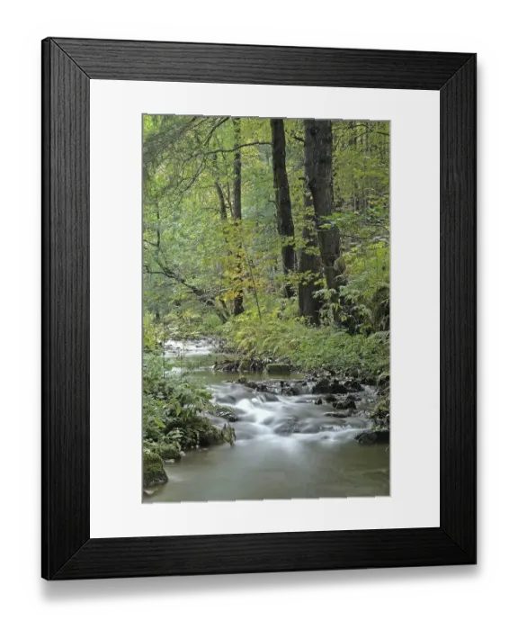 Framed Print : Small creek in Schwarzbachtal