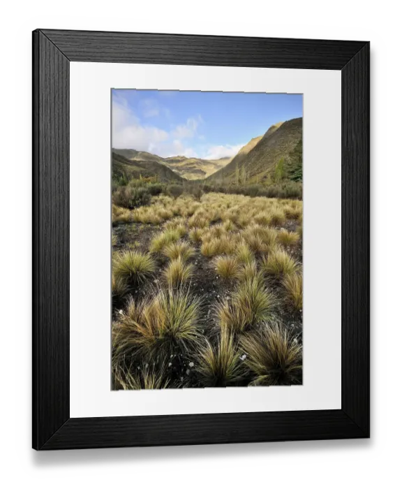 Framed Print : Landscape in the Villavicencio Nature Reserve Framed Print : Landscape in the Villavicencio Nature Reserve