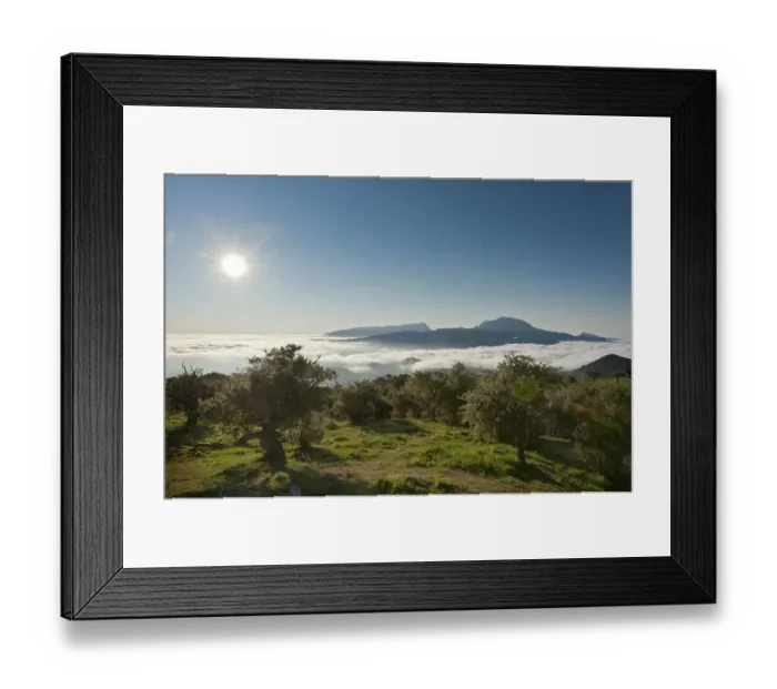 Framed Print : Sun over a landscape with trees Framed Print : Sun over a landscape with trees