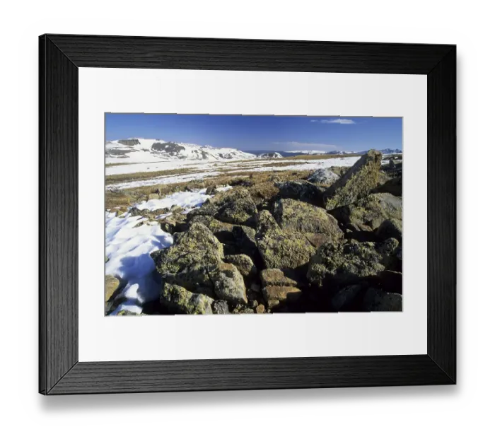Framed Print : Alpine tundra in Rocky Mountains National Park Framed Print : Alpine tundra in Rocky Mountains National Park
