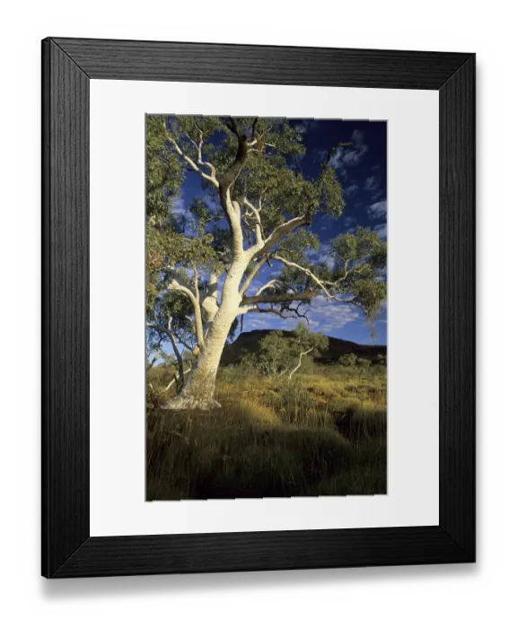 Framed Print : Karijini National Park, Hamersley Range, Pilbara