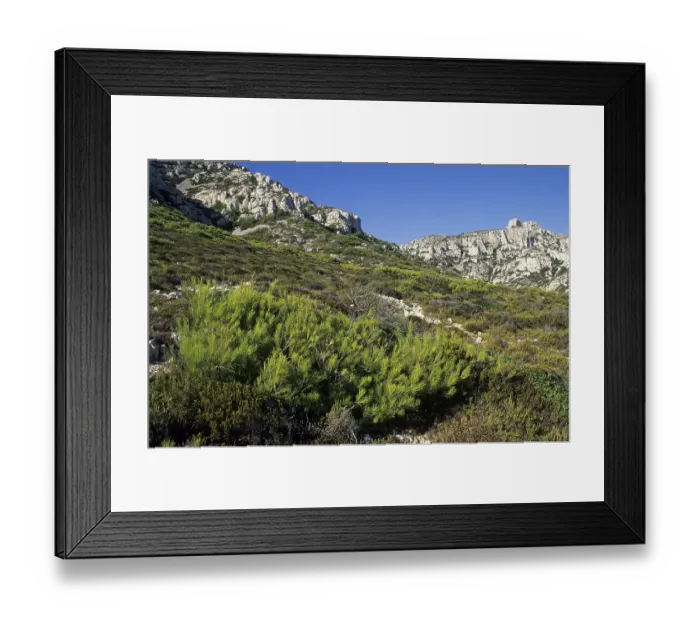Framed Print : Karst landscape at the calanque coast