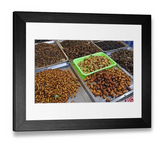 Framed Print : Fried locusts, caterpillars and kakalaks