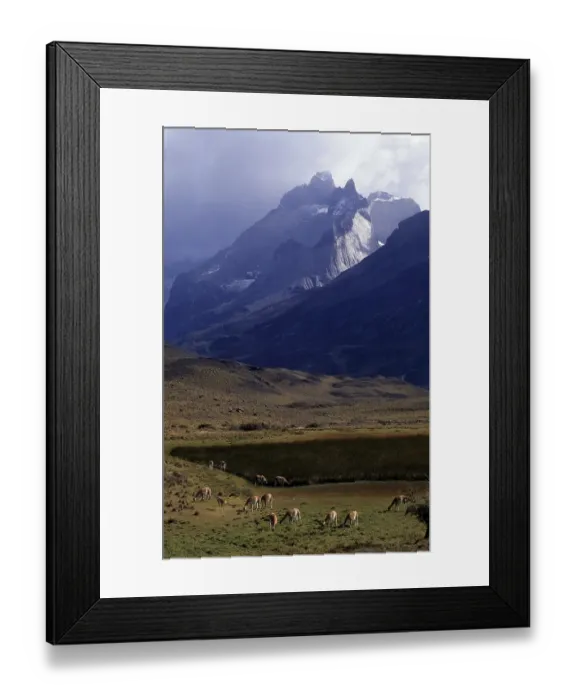 Framed Print : CHL, Chile, Patagonia: Torres del Paine National Park Framed Print : CHL, Chile, Patagonia: Torres del Paine National Park
