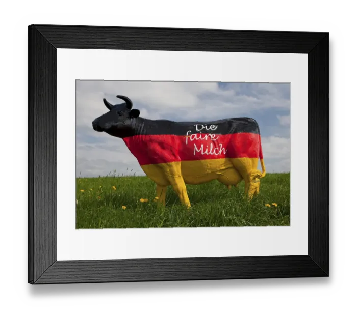 Framed Print : Protest of the farmers, fair milk Framed Print : Protest of the farmers, fair milk