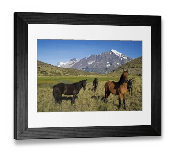 Framed Print : Torres del Paine National Park