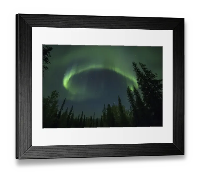 Framed Print : Aurora Borealis and stars over coniferous forest Framed Print : Aurora Borealis and stars over coniferous forest