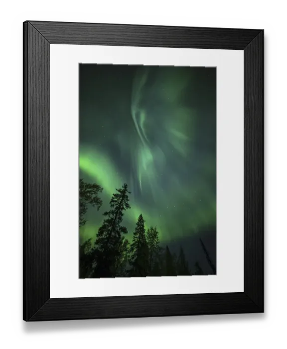 Framed Print : Aurora Borealis and stars over coniferous forest