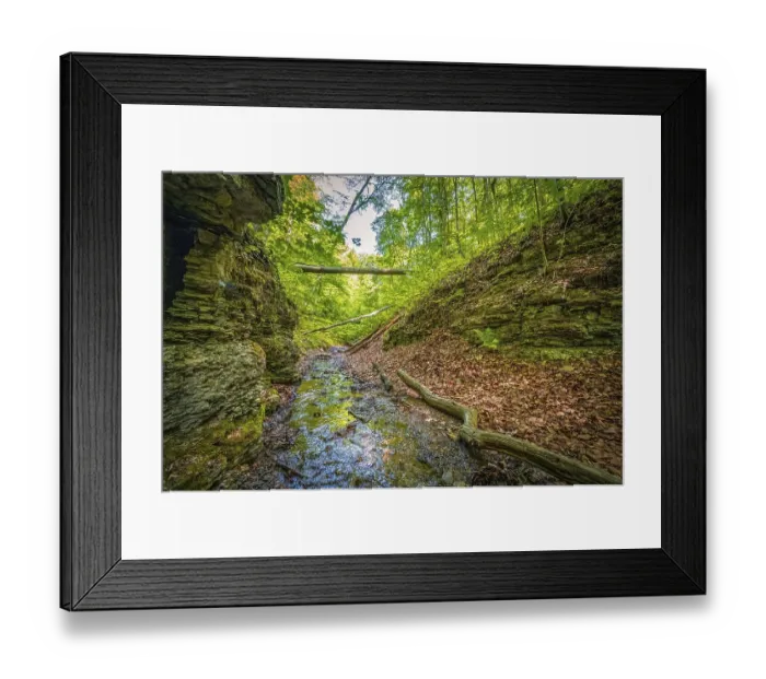 Framed Print : Small river flowing in mixed forest between limestone rocks in Rautal forest area in summer sunshine Framed Print : Small river flowing in mixed forest between limestone rocks in Rautal forest area in summer sunshine
