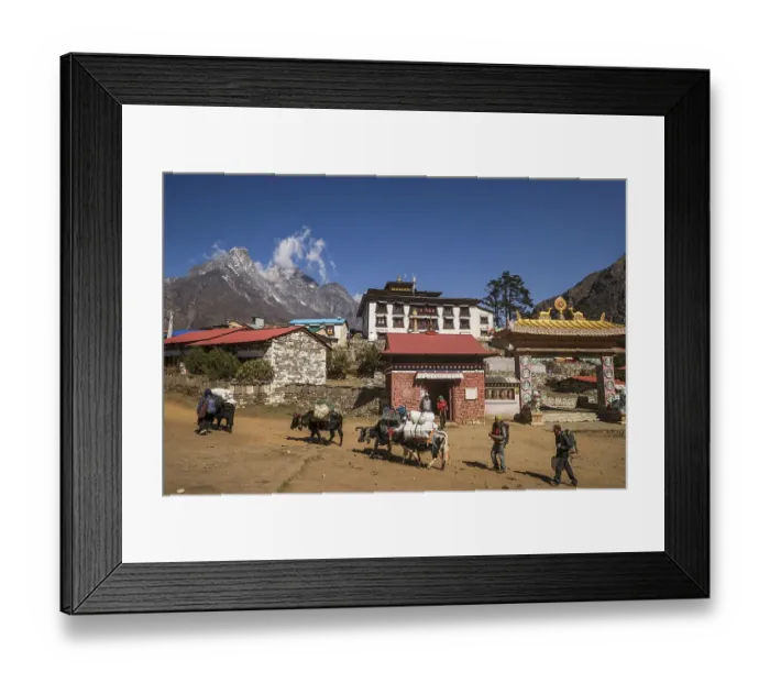 Framed Print : Laden yaks and Sherpas in front of the Tengboche Monastery