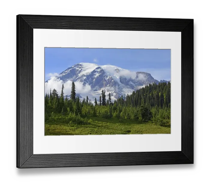 Framed Print : Snow-capped summit of Mount Rainier Framed Print : Snow-capped summit of Mount Rainier