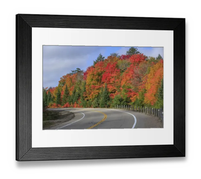 Framed Print : Road through autumn forest, Algonquin Provincial Park