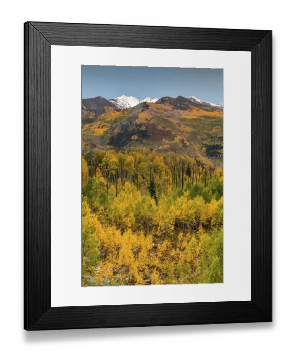 Framed Print : Mountain landscape with autumn forest