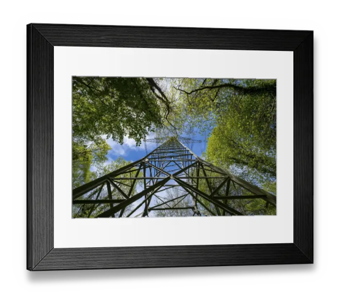 Framed Print : High-voltage pylon, electricity pylon in the forest
