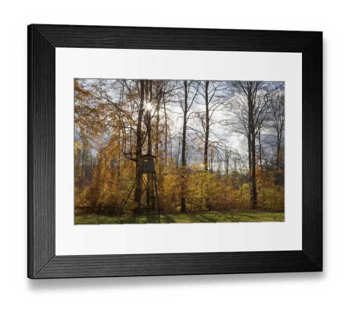 Framed Print : A hunting hide at the edge of a deciduous forest in autumnal colours Framed Print : A hunting hide at the edge of a deciduous forest in autumnal colours