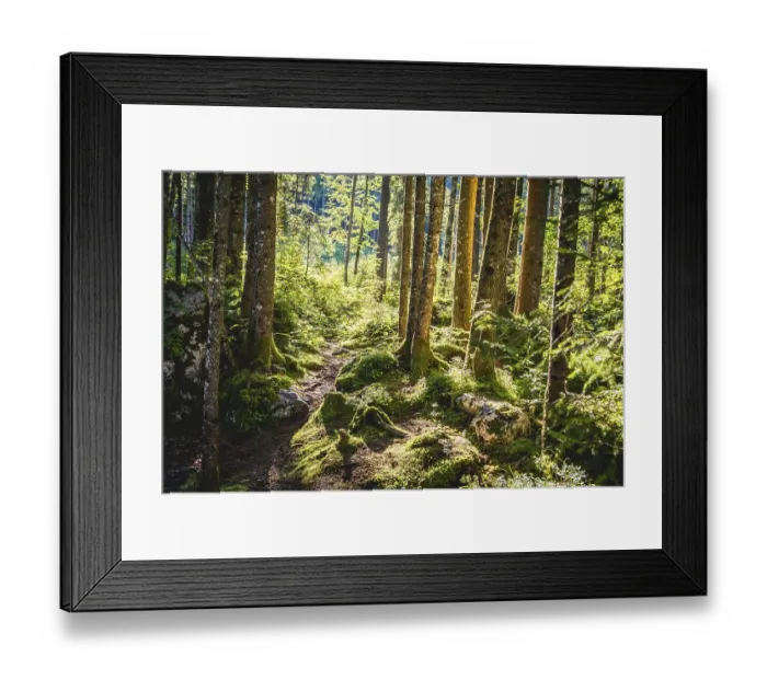 Framed Print : Zauberwald, Ramsau, Berchtesgaden National Park